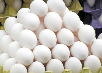 قیمت شانه تخم مرغ معادل یارانه یک ماه! ، سنگینی گرانی روی شانه های تخم مرغ