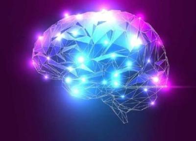 روش های افزایش عملکرد شناختی مغز