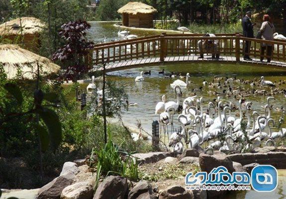 لذت تماشای 250 گونه پرنده در باغ پرندگان تهران (طراحی ویلا و باغ)