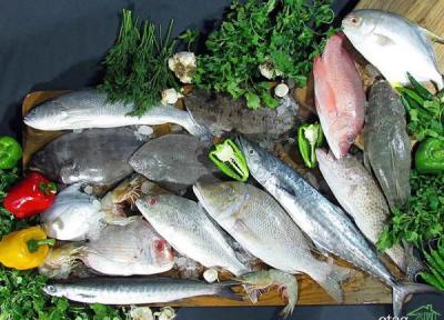 راهنمای خرید ماهی تازه و انواع گوشت و نکات طلایی نگهداری آن