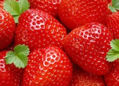 آلرژی به توت فرنگی و نحوه درمان آن